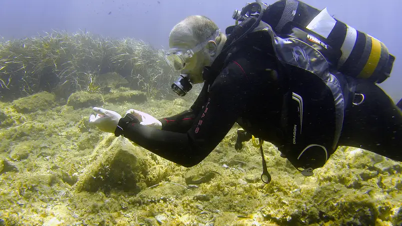 Tauchen mit dem Aqualung i330r Tauchcomputer