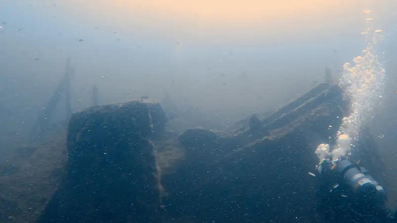 Unterwasserwelt rund um Hyères, Frankreich