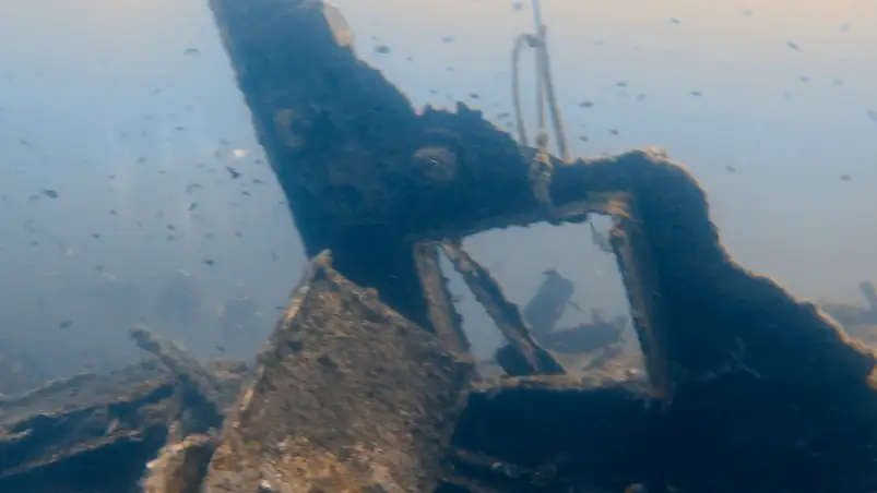 Unterwasserwelt rund um Hyères, Frankreich