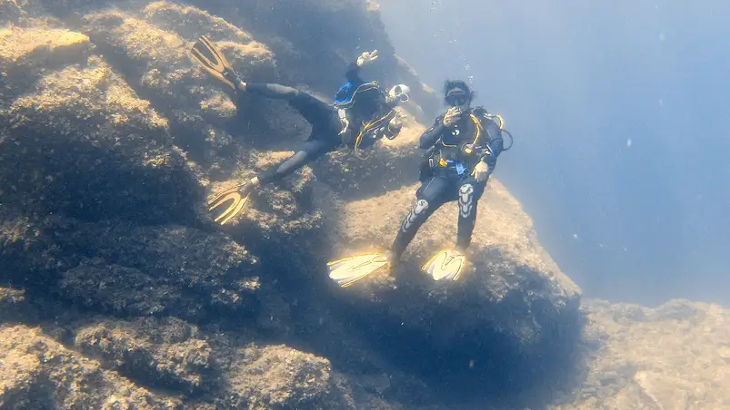 Unterwasserwelt rund um Hyères, Frankreich