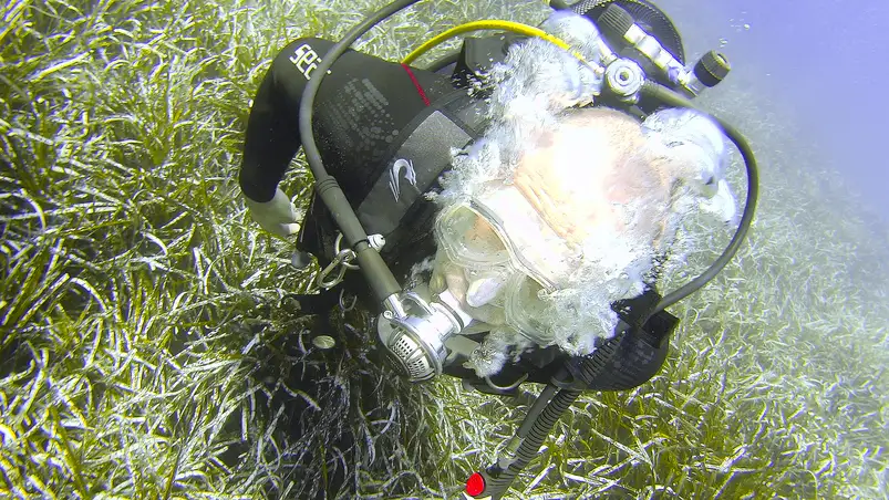 Tauchen in Südfrankreich - Hyères, Port Cros, Porquerolles